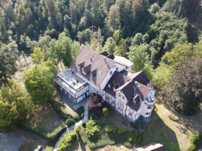 Der Falkenhorst Bad Sachsa